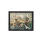 Birth of Venus by John Bulloch Souter [Framed canvas]