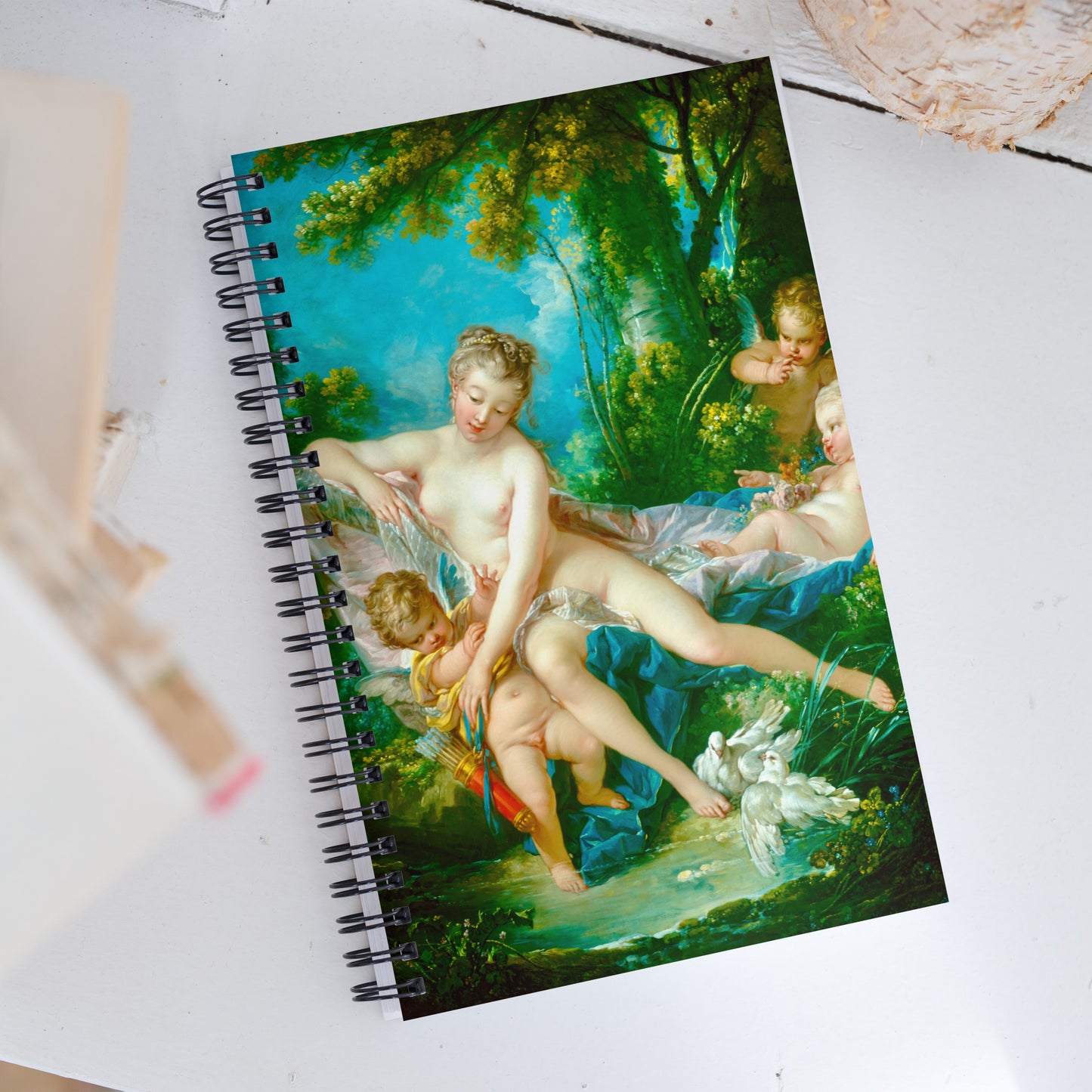 The Bath of Venus by François Boucher [Spiral notebook]