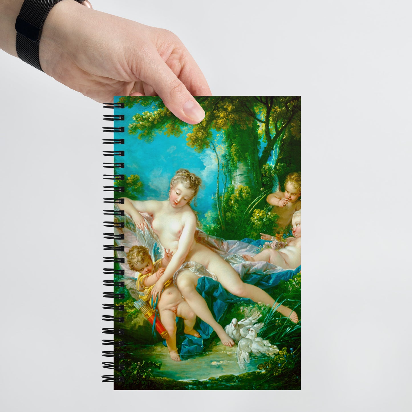 The Bath of Venus by François Boucher [Spiral notebook]