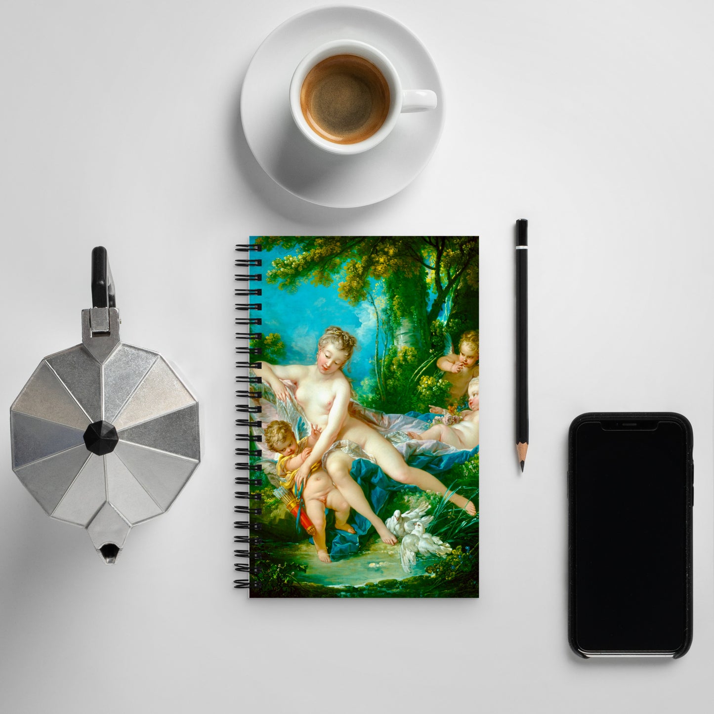 The Bath of Venus by François Boucher [Spiral notebook]